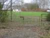 NWK 2012 047_small.jpg